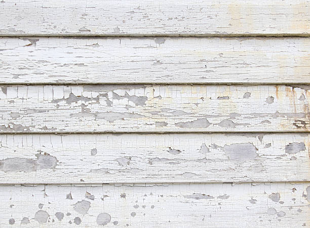 Best Custom Trim and Detailing for Siding  in Wallace, FL